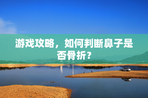 游戏攻略，如何判断鼻子是否骨折？