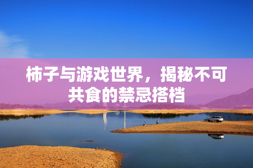 柿子与游戏世界，揭秘不可共食的禁忌搭档