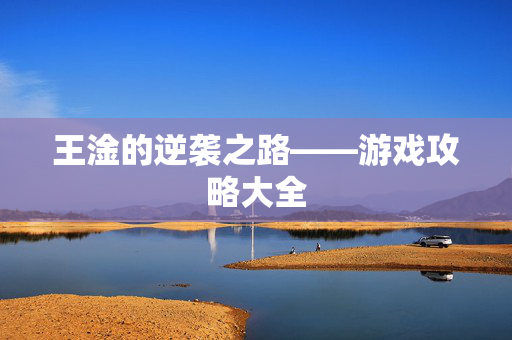 王淦的逆袭之路——游戏攻略大全
