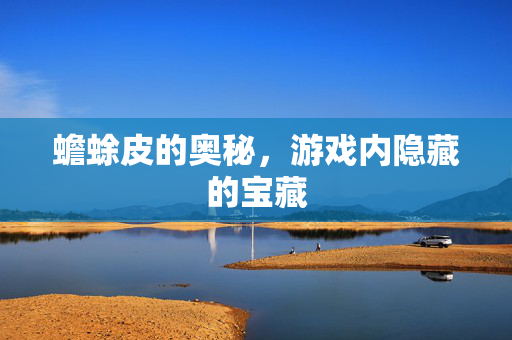 蟾蜍皮的奥秘，游戏内隐藏的宝藏
