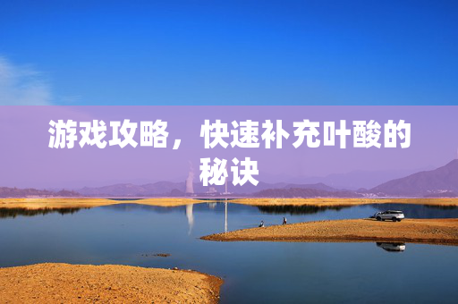 游戏攻略，快速补充叶酸的秘诀