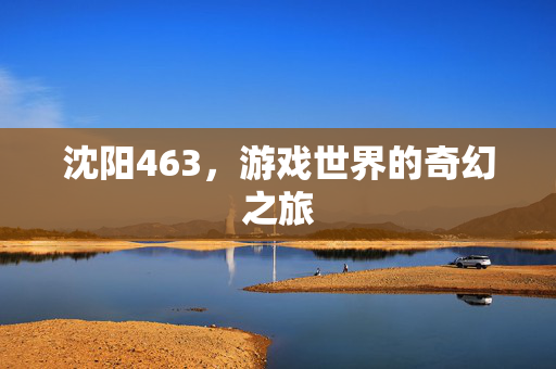 沈阳463，游戏世界的奇幻之旅
