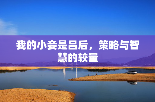 我的小妾是吕后，策略与智慧的较量