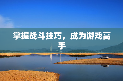 掌握战斗技巧，成为游戏高手