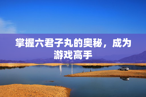 掌握六君子丸的奥秘，成为游戏高手