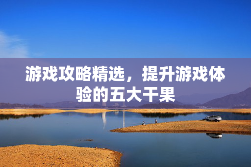 游戏攻略精选，提升游戏体验的五大干果