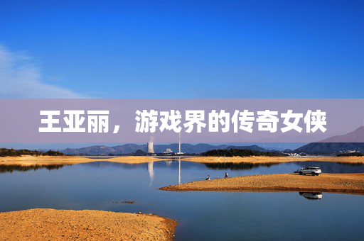 王亚丽，游戏界的传奇女侠