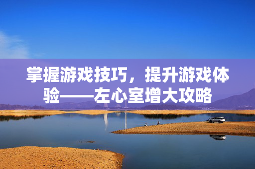 掌握游戏技巧，提升游戏体验——左心室增大攻略