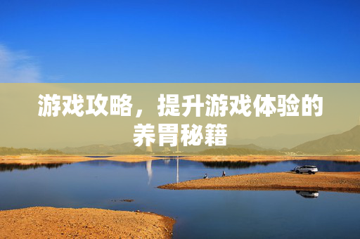 游戏攻略，提升游戏体验的养胃秘籍
