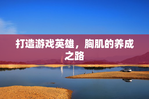 打造游戏英雄，胸肌的养成之路