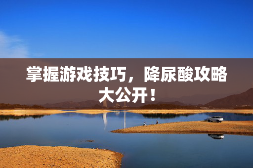 掌握游戏技巧，降尿酸攻略大公开！