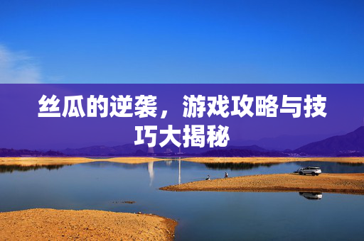 丝瓜的逆袭，游戏攻略与技巧大揭秘