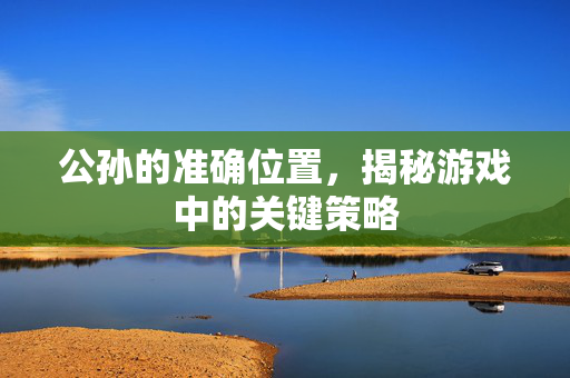 公孙的准确位置，揭秘游戏中的关键策略