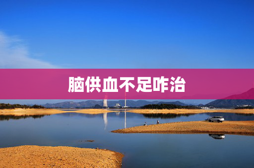 脑供血不足咋治