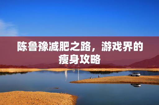 陈鲁豫减肥之路，游戏界的瘦身攻略