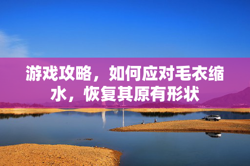 游戏攻略，如何应对毛衣缩水，恢复其原有形状