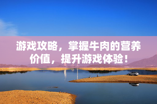 游戏攻略，掌握牛肉的营养价值，提升游戏体验！