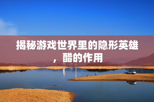 揭秘游戏世界里的隐形英雄，醋的作用