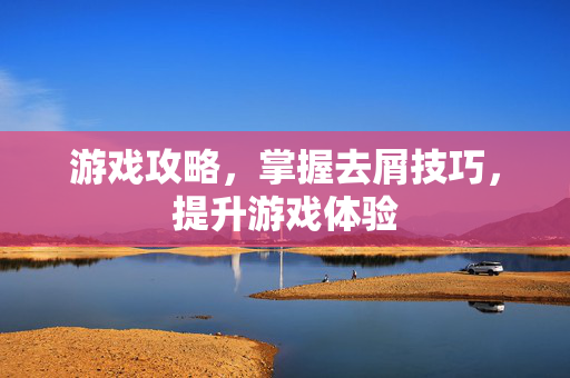游戏攻略，掌握去屑技巧，提升游戏体验