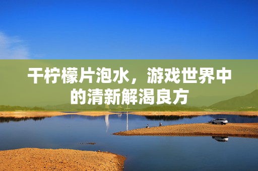 干柠檬片泡水，游戏世界中的清新解渴良方