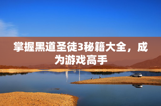 掌握黑道圣徒3秘籍大全，成为游戏高手