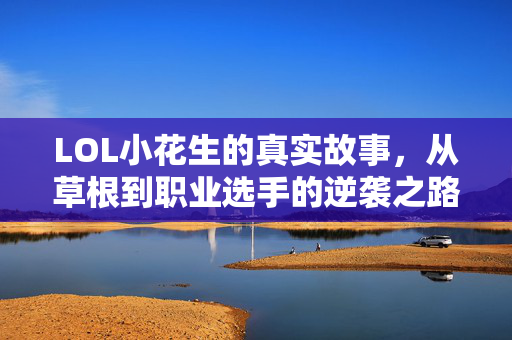 LOL小花生的真实故事，从草根到职业选手的逆袭之路