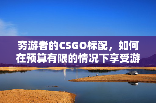 穷游者的CSGO标配，如何在预算有限的情况下享受游戏