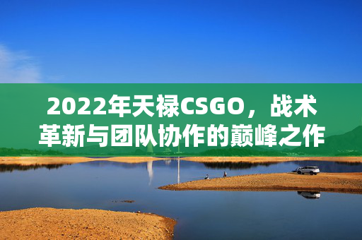2022年天禄CSGO，战术革新与团队协作的巅峰之作