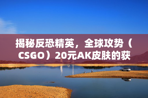 揭秘反恐精英，全球攻势（CSGO）20元AK皮肤的获取与使用技巧