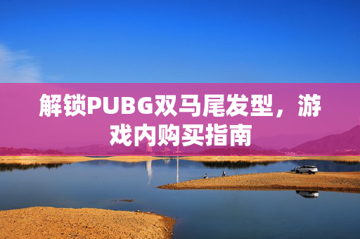 解锁PUBG双马尾发型，游戏内购买指南