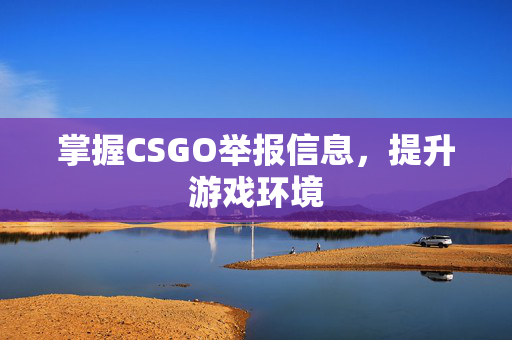掌握CSGO举报信息，提升游戏环境