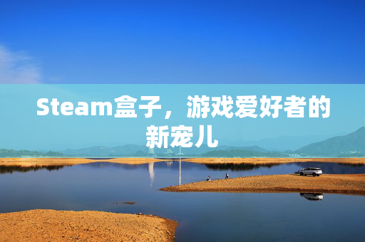 Steam盒子，游戏爱好者的新宠儿