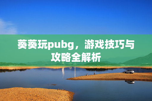 葵葵玩pubg，游戏技巧与攻略全解析