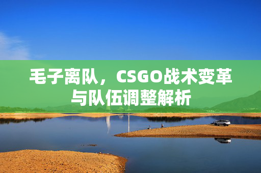 毛子离队，CSGO战术变革与队伍调整解析