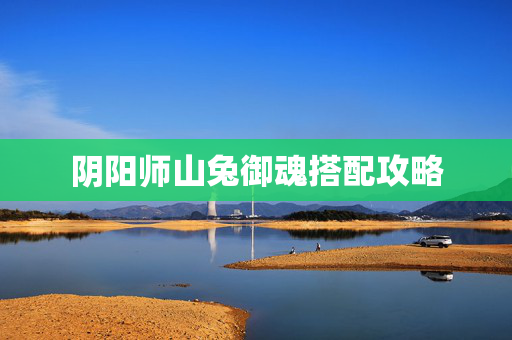 阴阳师山兔御魂搭配攻略