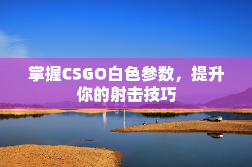 掌握CSGO白色参数，提升你的射击技巧