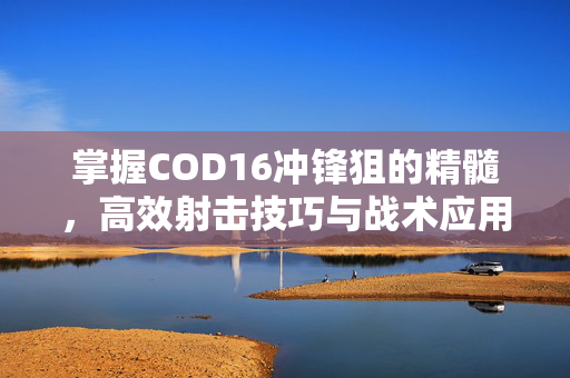 掌握COD16冲锋狙的精髓，高效射击技巧与战术应用