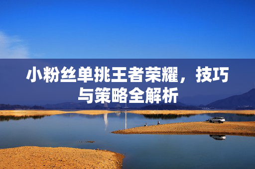 小粉丝单挑王者荣耀，技巧与策略全解析