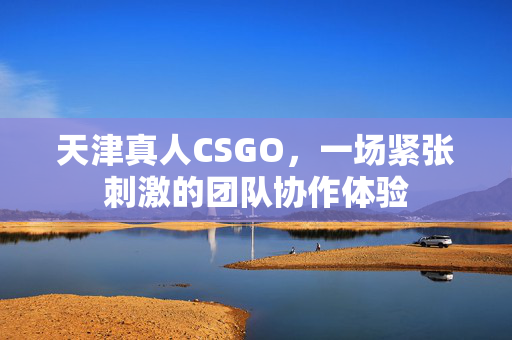 天津真人CSGO，一场紧张刺激的团队协作体验