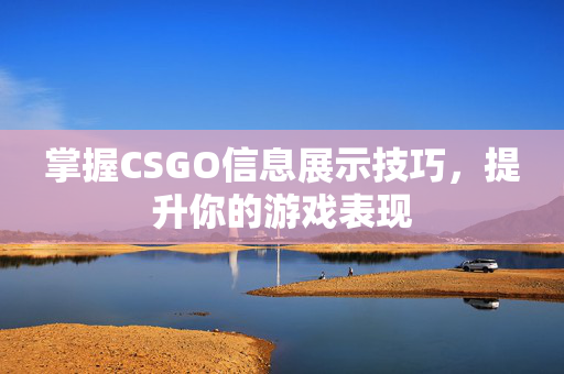 掌握CSGO信息展示技巧，提升你的游戏表现