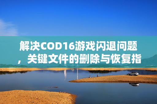 解决COD16游戏闪退问题，关键文件的删除与恢复指南