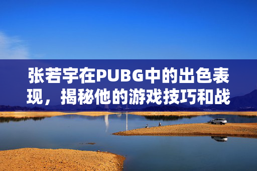 张若宇在PUBG中的出色表现，揭秘他的游戏技巧和战术