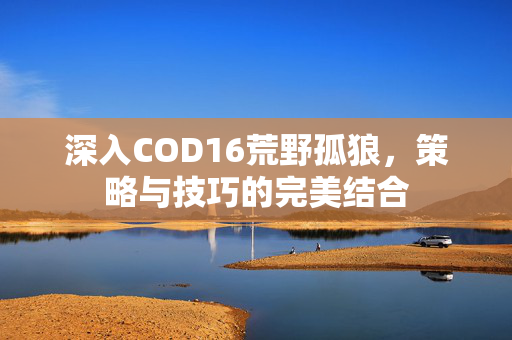 深入COD16荒野孤狼，策略与技巧的完美结合