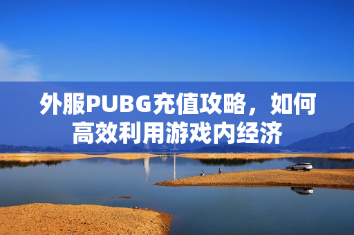 外服PUBG充值攻略，如何高效利用游戏内经济