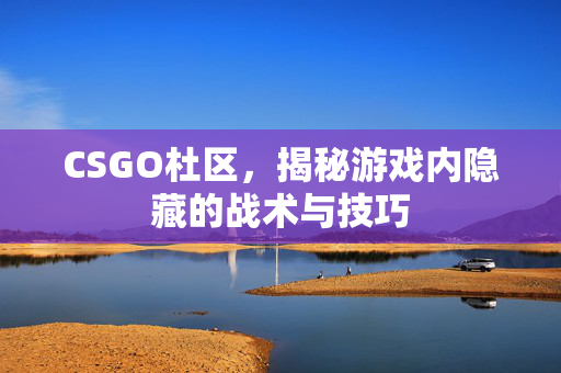 CSGO杜区，揭秘游戏内隐藏的战术与技巧