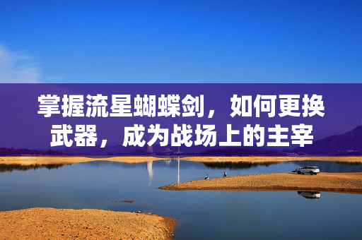 掌握流星蝴蝶剑，如何更换武器，成为战场上的主宰