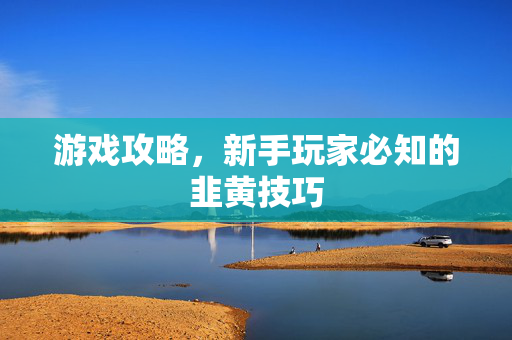 游戏攻略，新手玩家必知的韭黄技巧