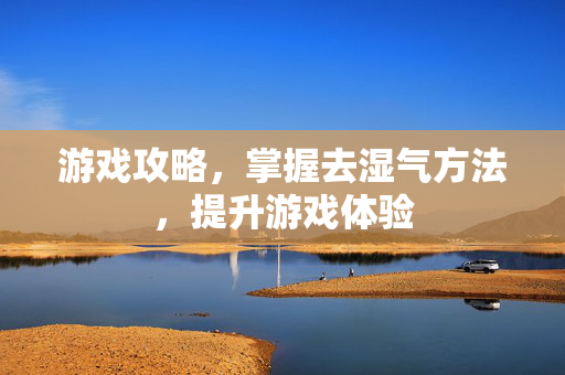 游戏攻略，掌握去湿气方法，提升游戏体验
