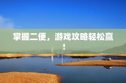 掌握二便，游戏攻略轻松赢！