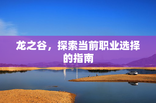 龙之谷，探索当前职业选择的指南